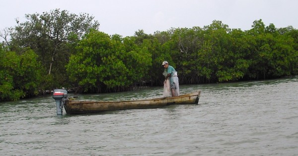 Sobrepesca, principal causa de escasez de especies marinas en Veracruz