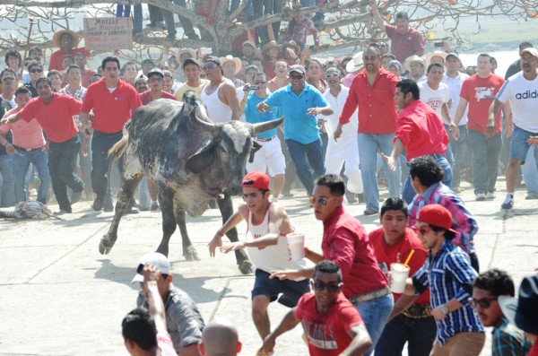 3 días de cárcel y 24 mil pesos a quien maltrate toros en fiestas de Tlacotalpan