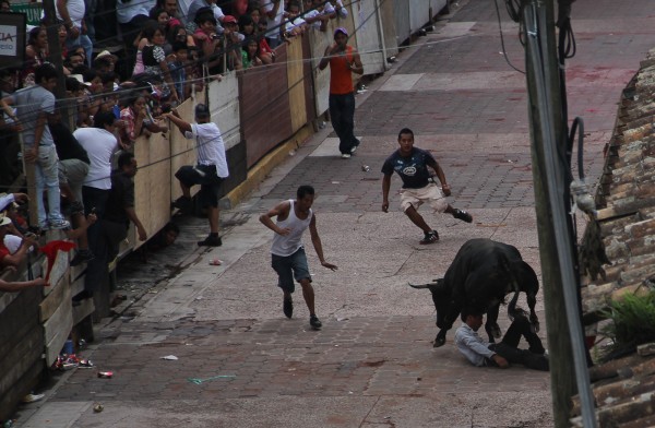 Xico se blinda con nuevo Reglamento Animal para permitir la xiqueñada