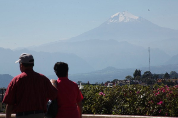Proyectos urbanos en Xalapa deben cuidar a especies naturales
