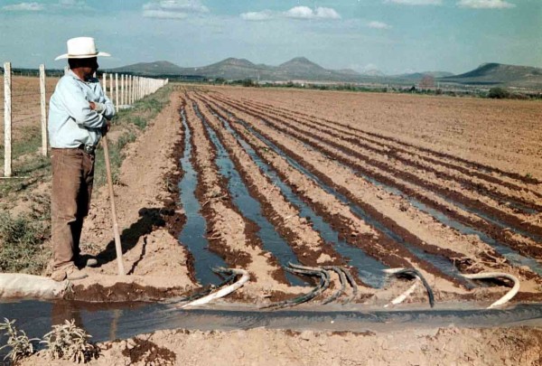 Conagua y Sedarpa invirtieron 100 mdp en proyectos de riego para el campo