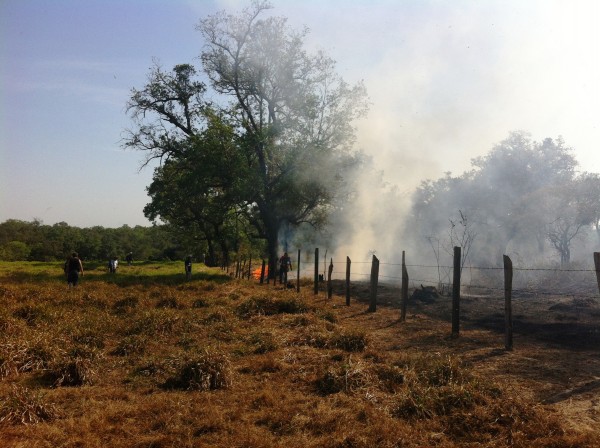 Prohíben quemas agrícolas en Veracruz hasta el 14 de agosto