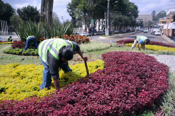 Por pandemia, mandan a sus casas a 240 trabajadores de Áreas Verdes de Xalapa