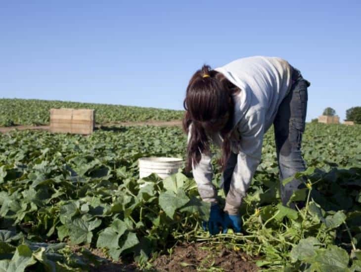 Realizarán novena jornada por derechos laborales de adolescentes