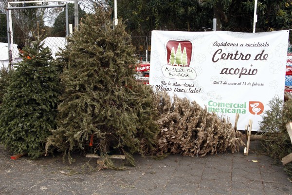Arranca el próximo 8 de enero campaña ‘Recicla tu Navidad’