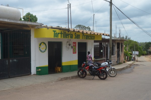 Competencia desleal pone en riesgo a tortillerías en Acayucan