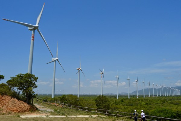 Energía renovable mundial creció en 2020 a su mayor ritmo en 20 años
