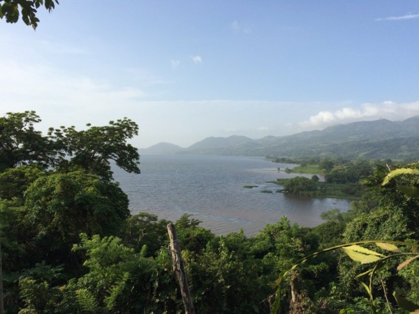 Urge establecer agenda ambiental en Veracruz: LAVIDA