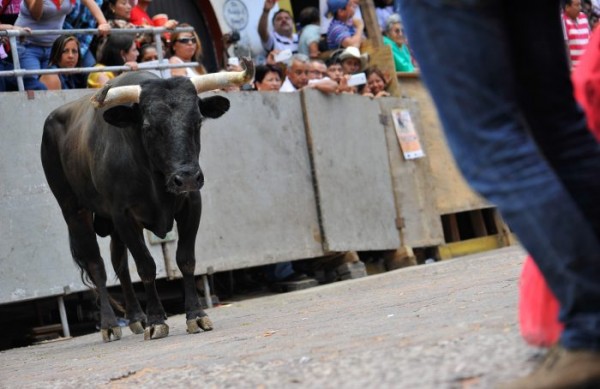 Sectur apoya a Xico con promoción; vaquillada compete a Fiscalía