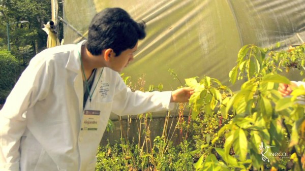 Inecol, con recursos suficientes para operar; 70 % se va en nómina