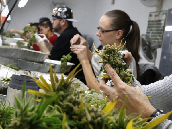 Consumo de mariguana supera al tabaco por primera vez en Estados Unidos