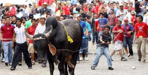 Tres días de cárcel y 24 mil pesos a quien maltrate toros en fiestas de Tlacotalpan