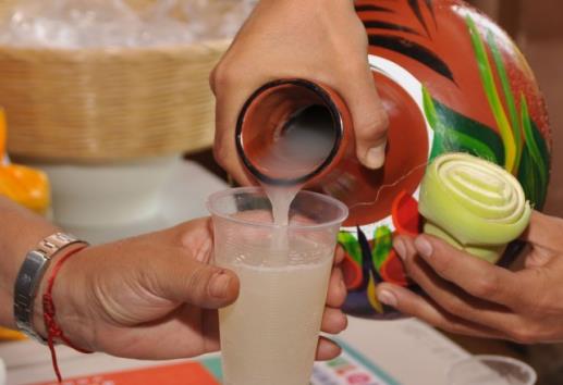 ¿Te gusta el pulque? Veracruz produce más de 1 millón de litros
