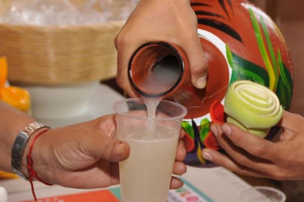 ¿Te gusta el pulque? Veracruz produce más de 1 millón de litros