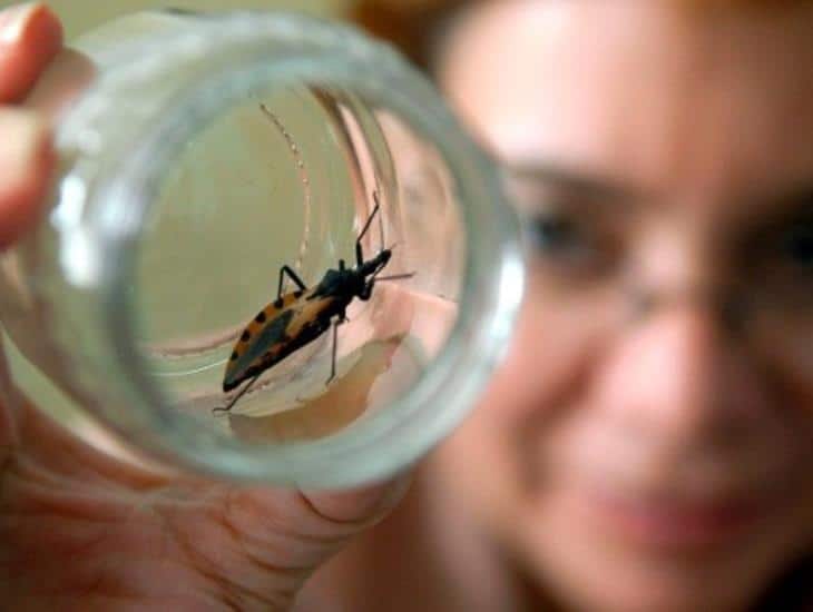 Busca UV informar sobre Enfermedad de Chagas; ¿sabes qué es?