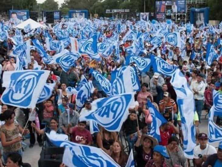 Sergio Hernández y Lilian Cerecedo se llevan internas del PAN