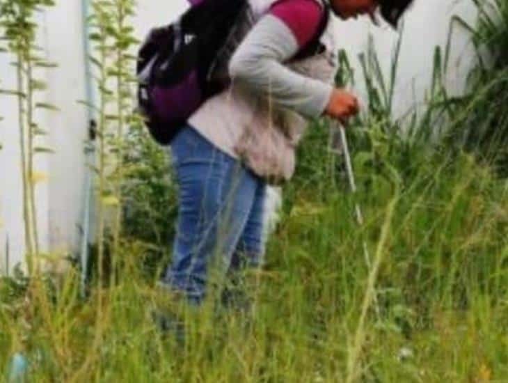 Intentan violar a empleada de SS en Coatzacoalcos; agresor quedaría libre