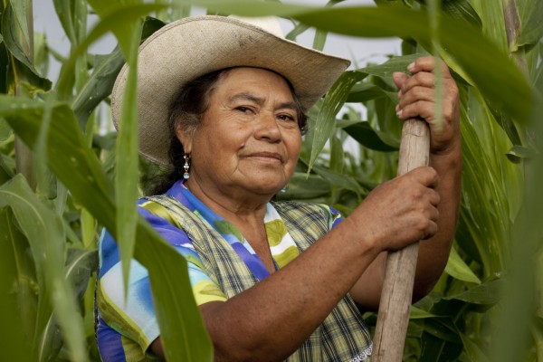 Impartirá Tribunal Unitario Agrario justicia a mujeres campesinas en Tres Valles