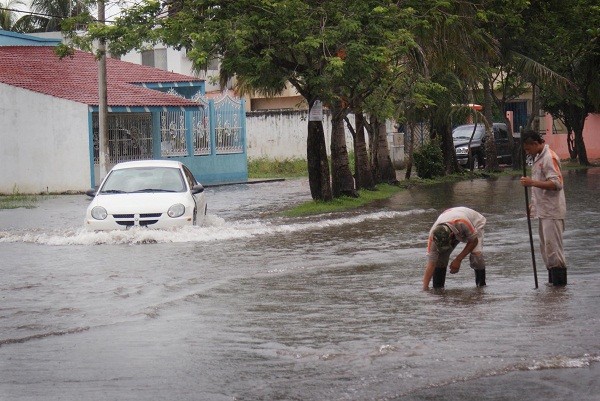 Inundaciones en el Floresta terminarán al rellenar el predio