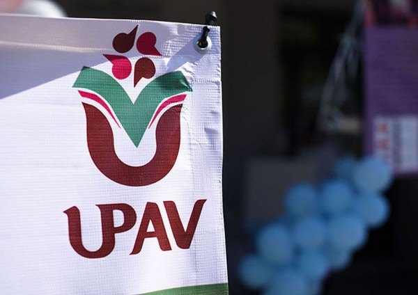 UPAV, con estrepitoso descenso en su matrícula, advierte académico