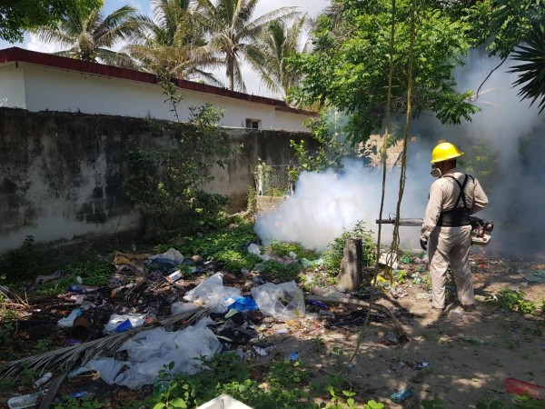 Dengue no cesa y convive en silencio con coronavirus en Veracruz