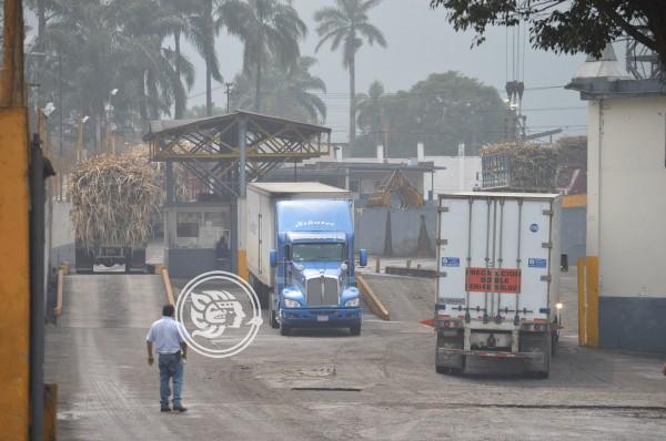 Veracruz, el gigante nacional en producción de caña