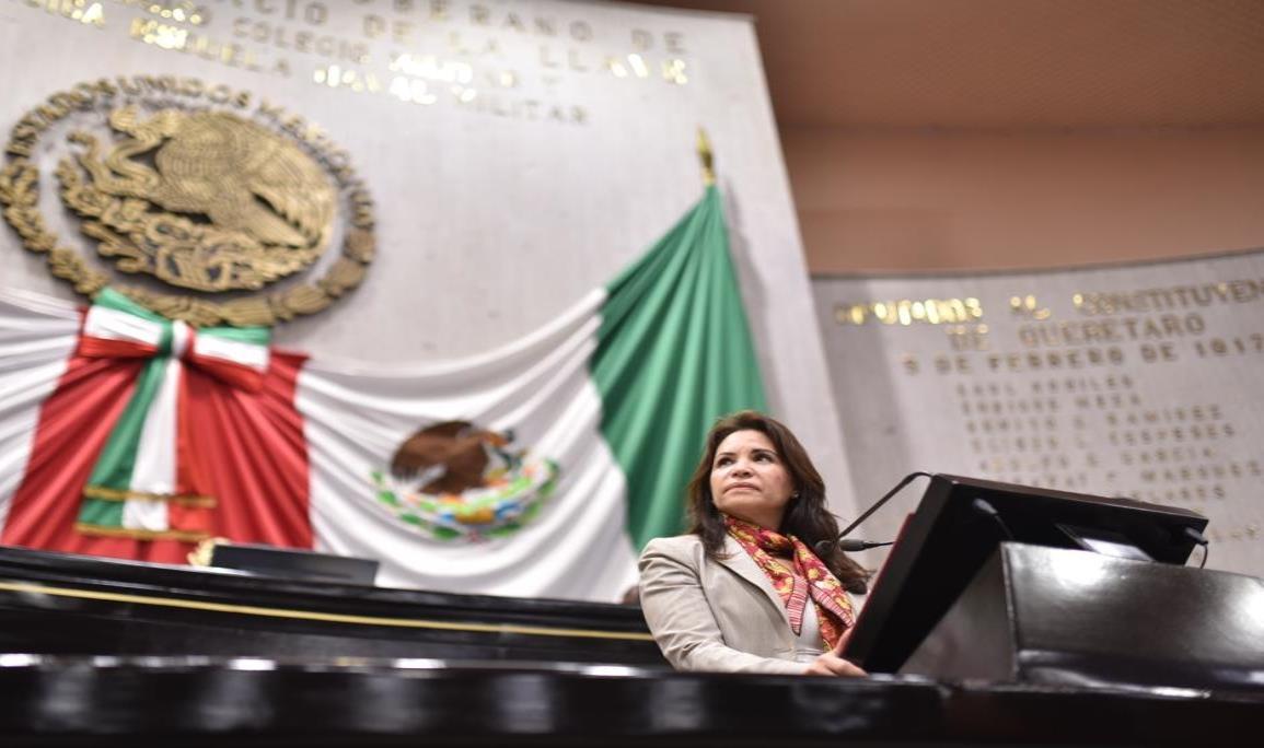 Mónica Robles, a favor de tercera alerta de violencia de género en Veracruz