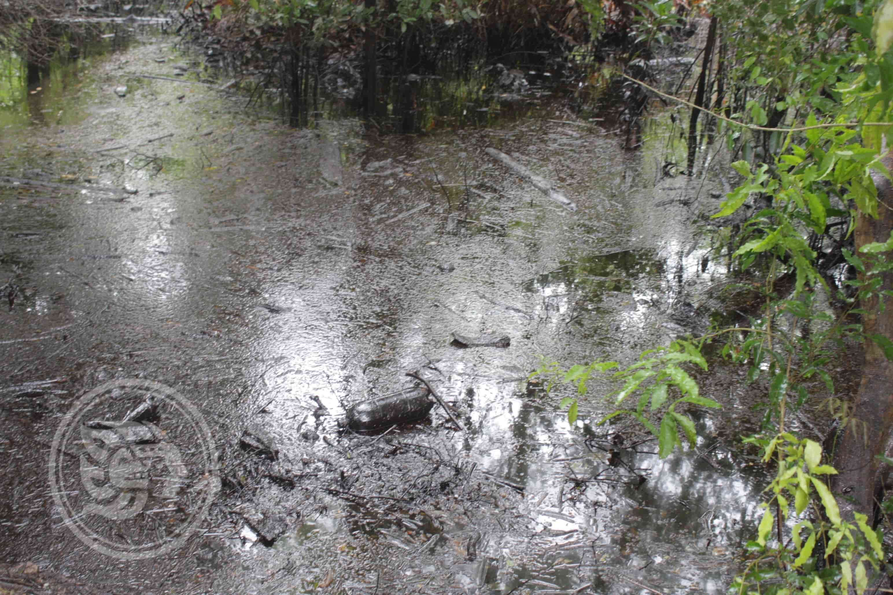 Un litro de aceite contamina casi 40 mil litros de agua; urgen concientización