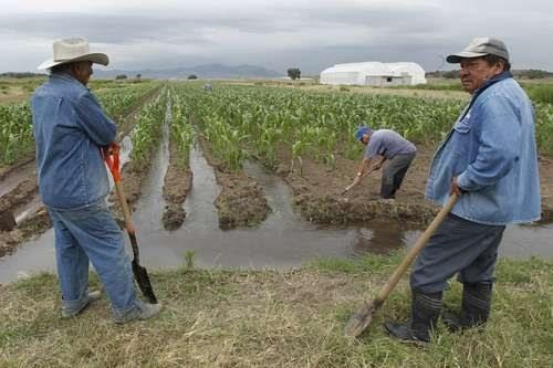 Demandan a alcaldes apoyar producción y abasto de alimentos en Veracruz