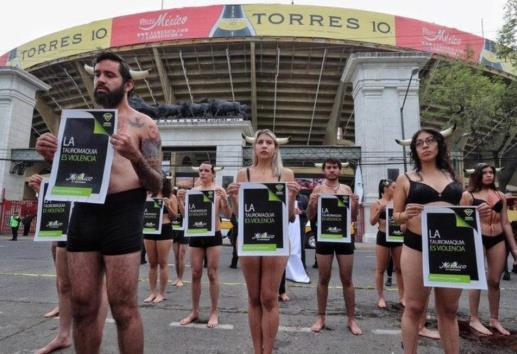 Activistas truenan contra tauromaquia; piden replicar a municipios de Veracruz