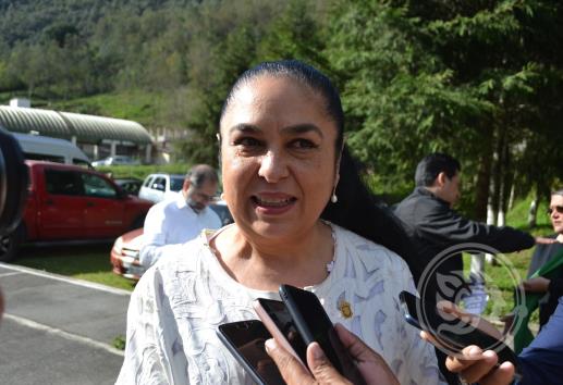 Analiza SEP mayor presupuesto para universidades públicas: Rectora UV