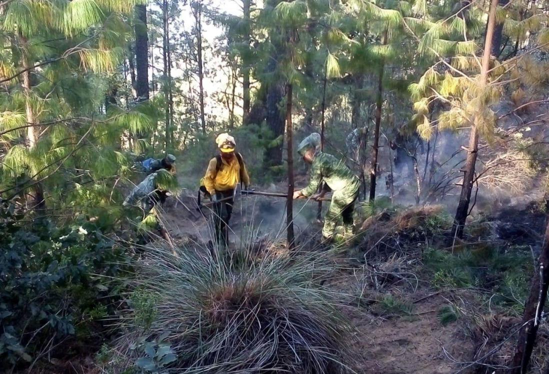 ‘Muy activa’, temporada de incendios en Veracruz, advierten