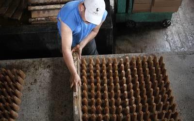 Comercian piloncillo pirata en Veracruz