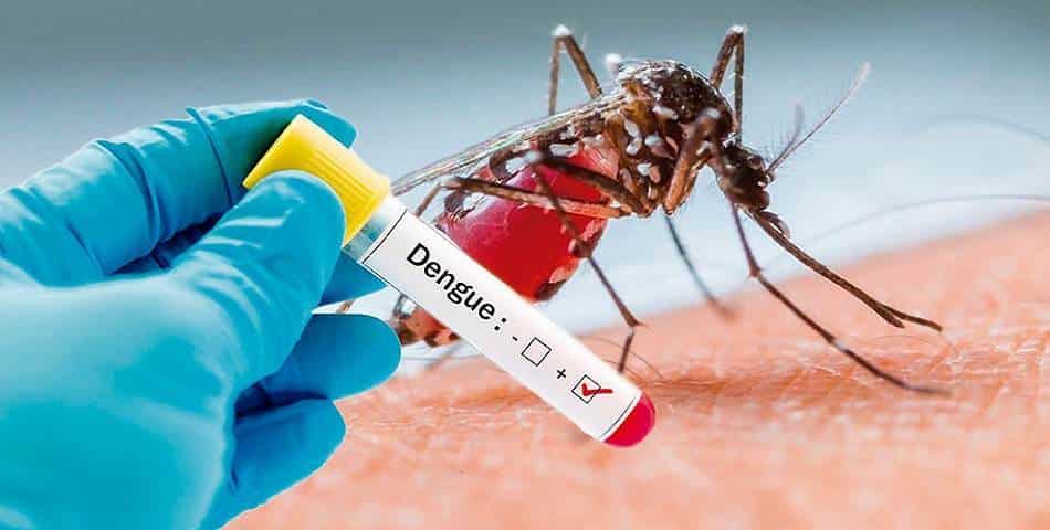 Veracruz se ubica como el estado líder en casos de dengue desde 2019