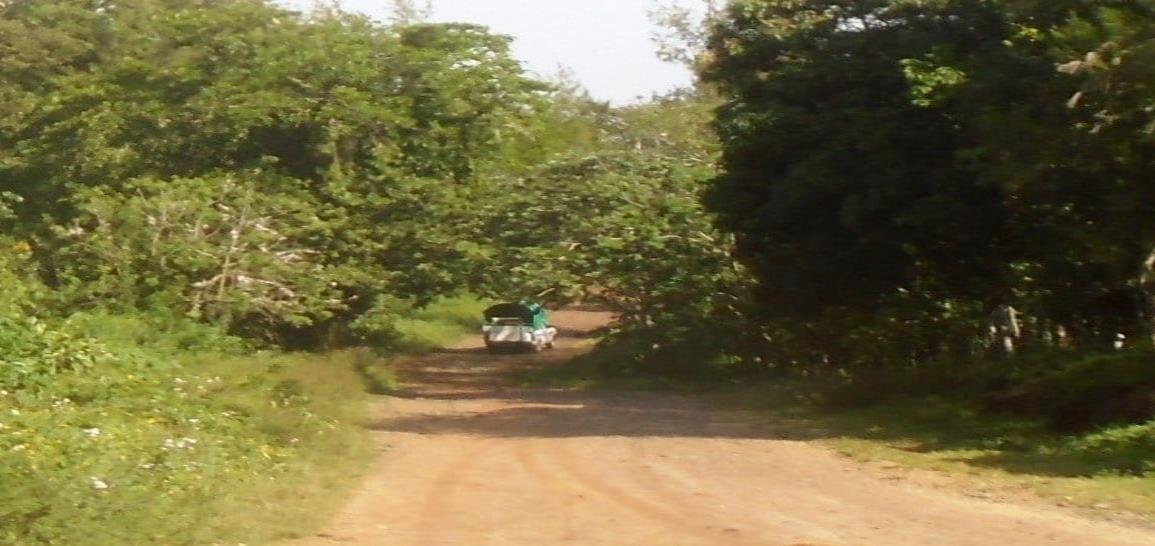 Exigen asfalto en caminos de la zona serrana del sur