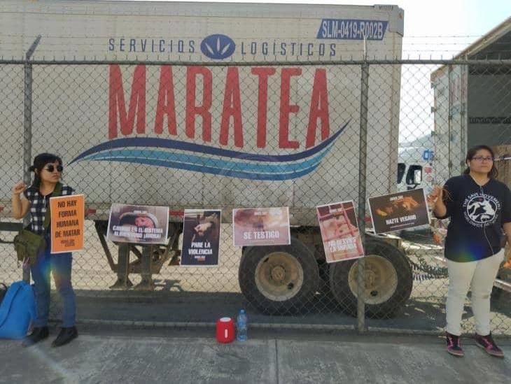 Protestan protectores de animales frente al rastro de Orizaba