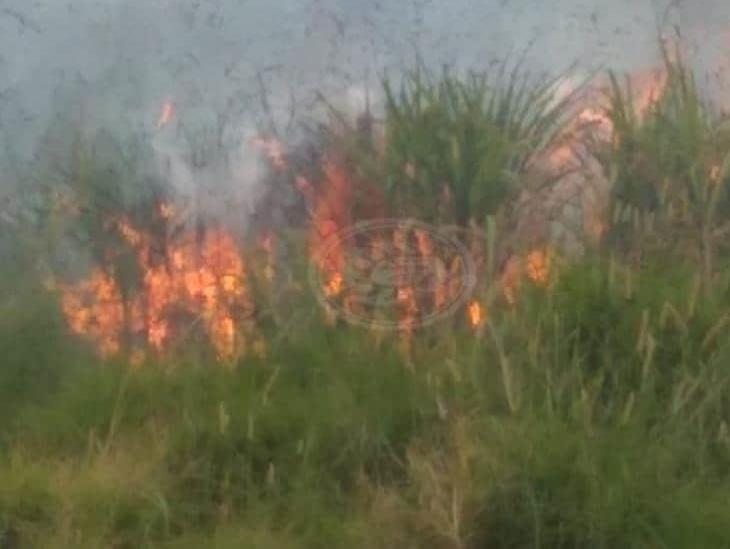 Continúa activo el incendio en las faldas del Pico de Orizaba