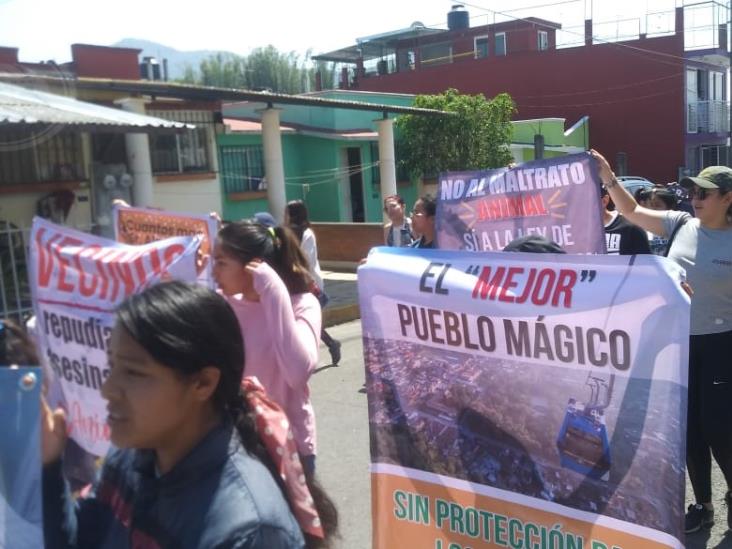 Manifestación contra asesina de animales en Orizaba