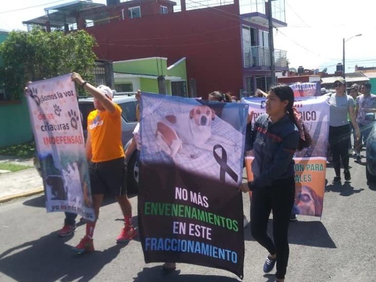 Manifestación contra asesina de animales en Orizaba