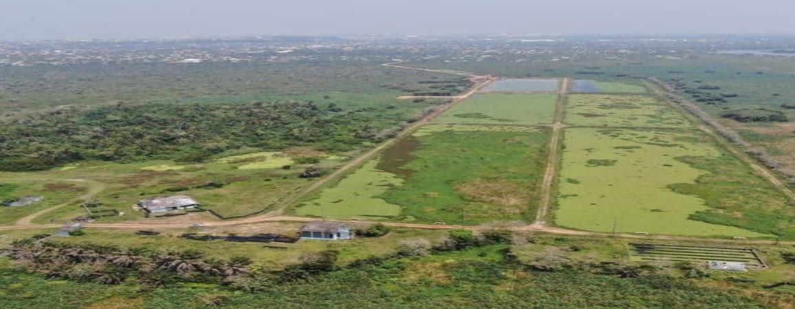 Rescatan y activan planta de tratamiento de aguas residuales