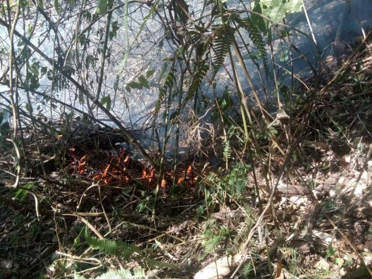 Vigilan riesgo de incendios en zonas montañosas de Veracruz