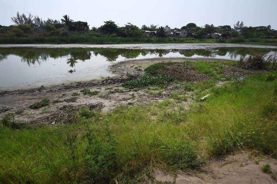 Laguna de Tarimoya en Veracruz se incendia