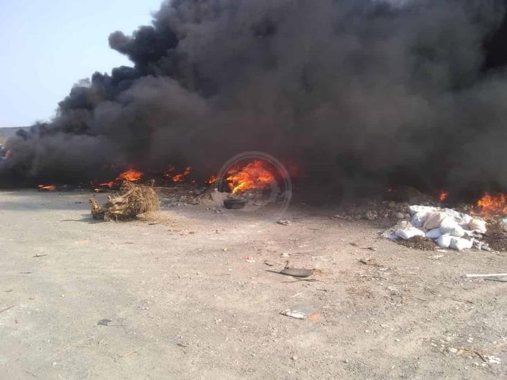 Bomberos de Veracruz combaten incendio en terreno baldío