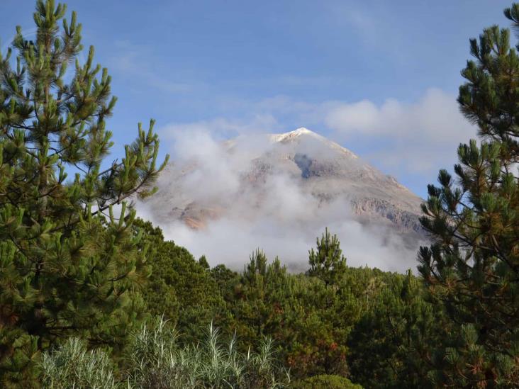 320 mil árboles pérdidos en Pico de Orizaba por incendios