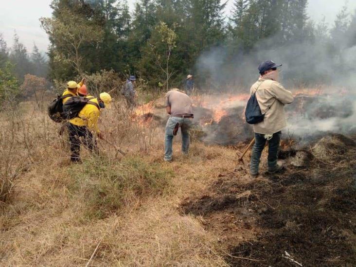 Siguen activos 3 incendios en la región de Maltrata