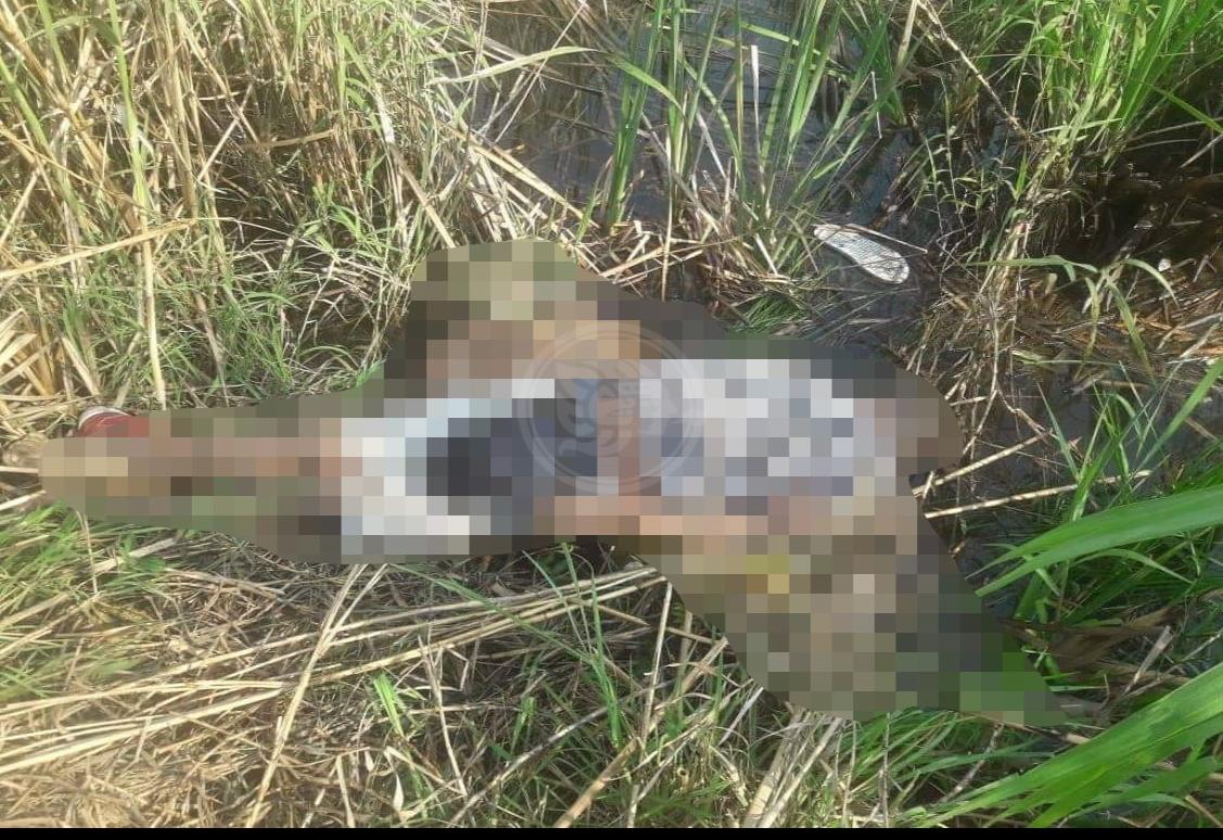 Identifican cuerpos abandonados en Cosoleacaque