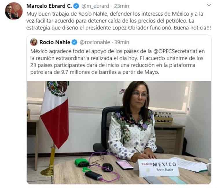 Nahle luchó como una leona por los intereses de su país: Reza Zandi, periodista iraní