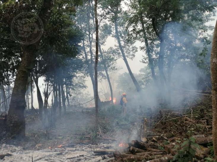 Brigadistas combaten incendio en Maltrata por quinto día consecutivo