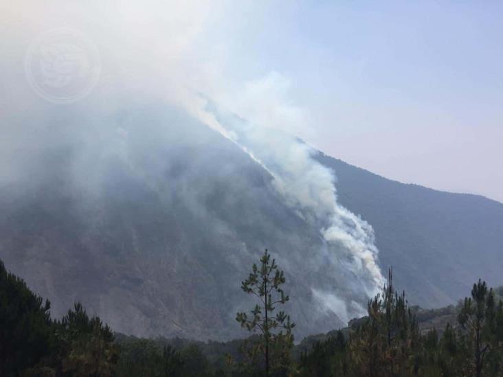 Brigadistas combaten incendio en Maltrata por quinto día consecutivo