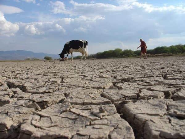 Sequía en México tiene a más de mil municipios anormalmente secos